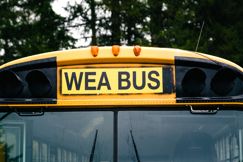 scrambling in the forest on a hike